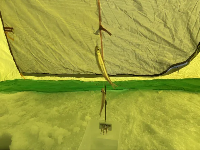 2026年かなやま湖のわかさぎ釣り010