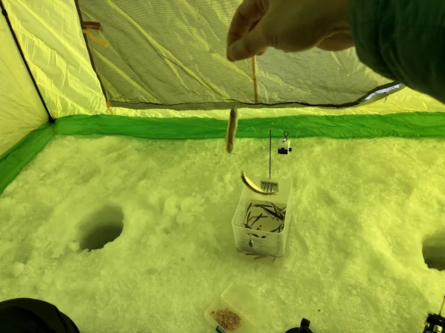 2026年かなやま湖のわかさぎ釣り013