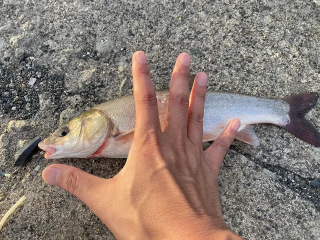 2025夏 留萌でシャコ釣り007