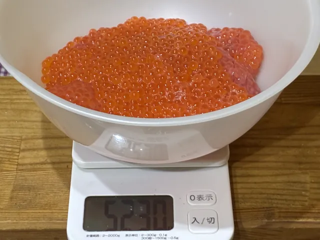 2025年増毛アキアジ釣り006