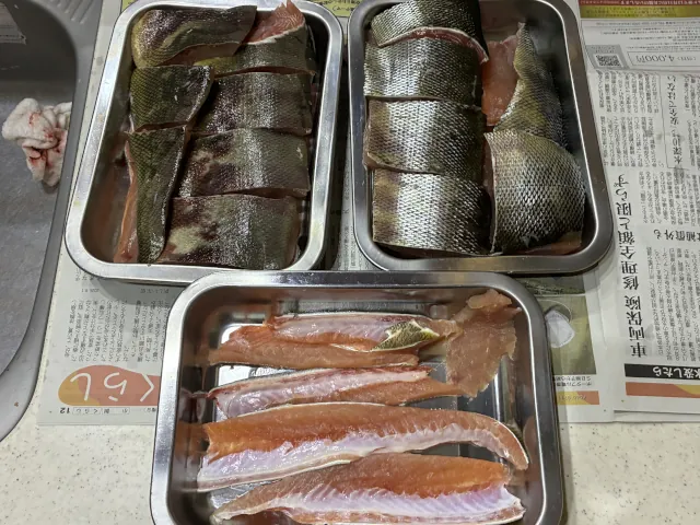 2026年増毛のサケ釣り006
