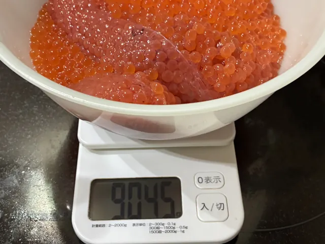 2026年増毛のサケ釣り009
