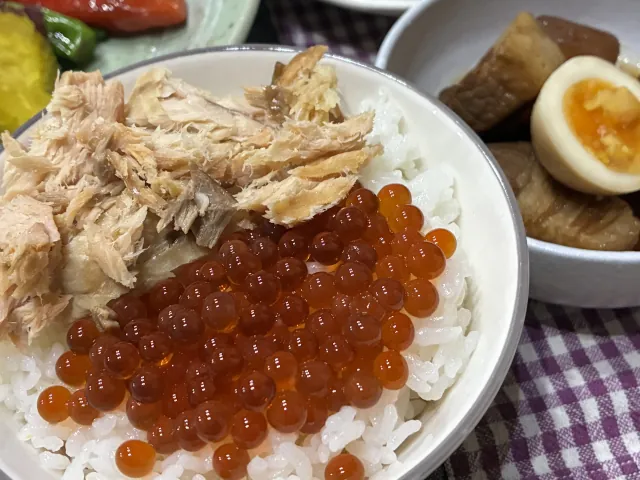 2026年増毛のサケ釣り011