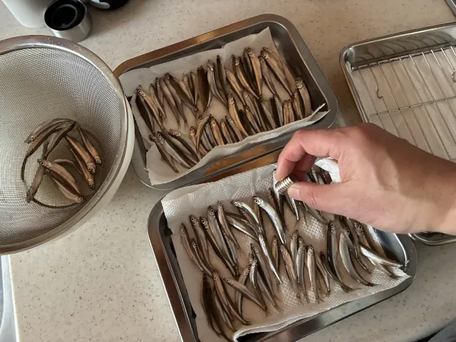 砂川オアシスパーク遊水地ワカサギ釣りまとめ000